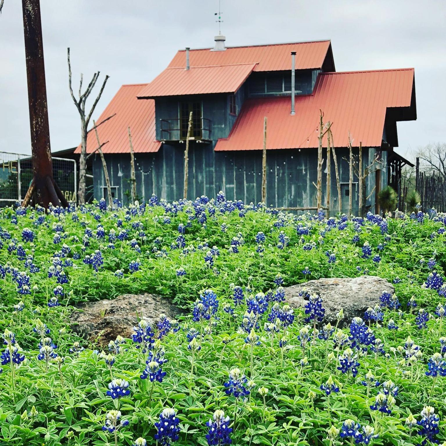 Montesino Ranch Lodging Villa Wimberley Exterior photo